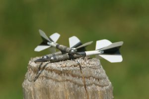 alex-muzenhardt-jSFoBMRzI68-unsplash alex-muzenhardt-jSFoBMRzI68-unsplash