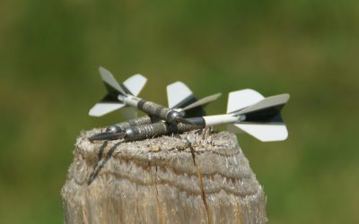 alex-muzenhardt-jSFoBMRzI68-unsplash alex-muzenhardt-jSFoBMRzI68-unsplash